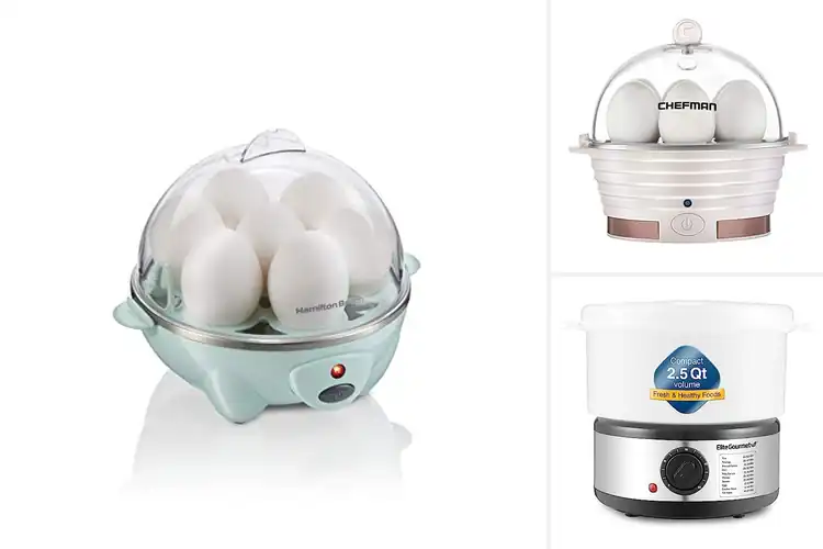 Detailed view of 15 Best Breakfast Electric Steamers for Perfect Morning Meals