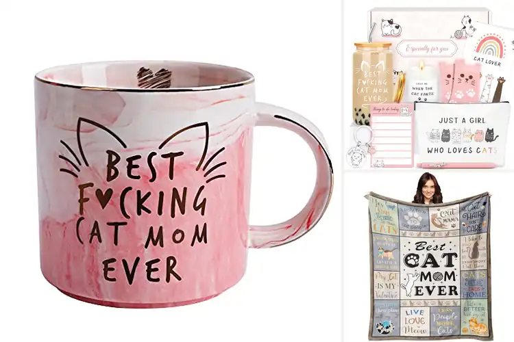 Detailed view of Best Cat Moms: Simple Tips to Strengthen Your Feline Bond