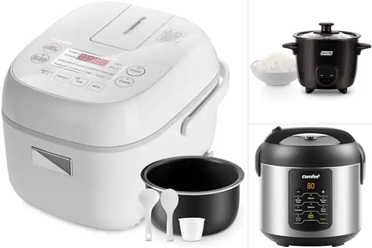 Detailed view of 10 Best Compact Cookers for Smart, Space-Saving Meals