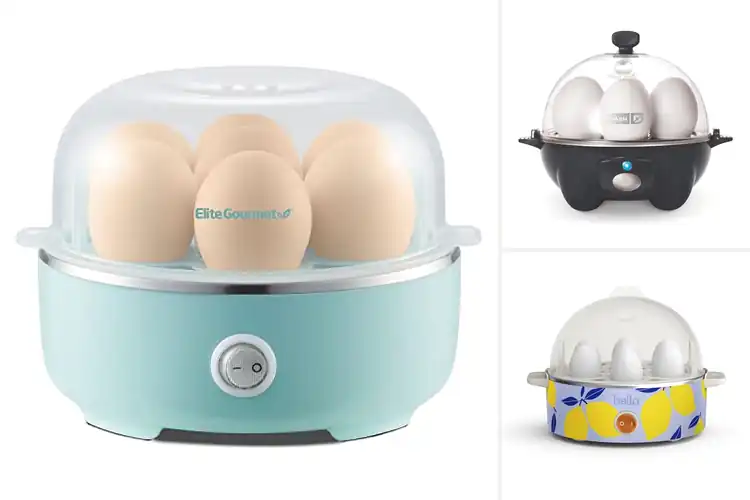 Detailed view of 10 Best Compact Egg Cookers: Perfect Flawless Eggs Every Time
