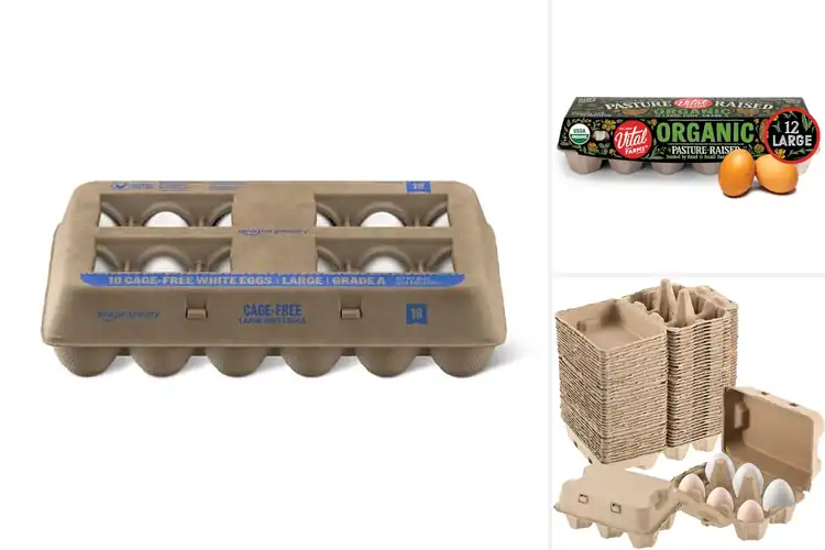 Detailed view of 10 Best Eggs for Fresh Flavor Every Morning