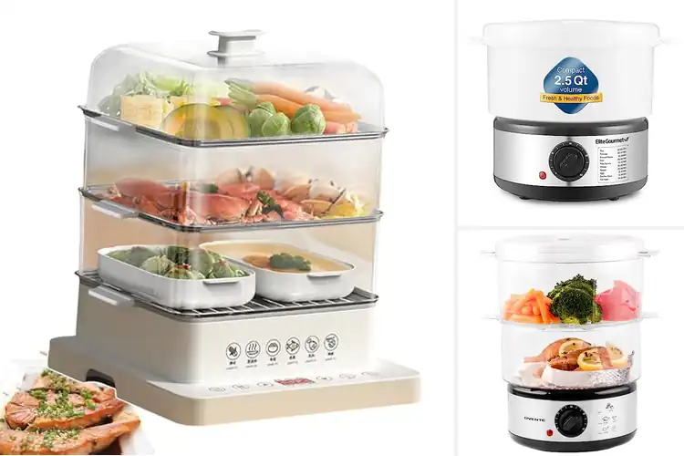 Detailed view of 10 Best Electric Breakfast Steamers for Quick, Easy Mornings