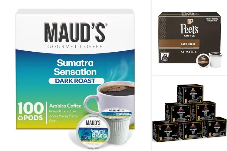 Detailed view of 8 Best Indonesian Coffee Pods to Boost Your Mornings
