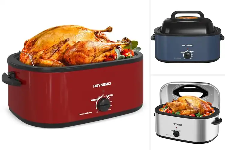 Detailed view of 10 Best Indoor Roasters for Juicy, Effortless Meals