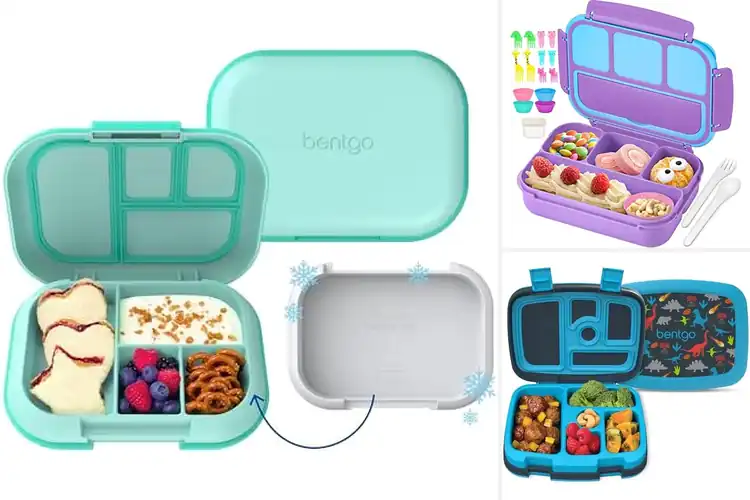 Detailed view of 10 Best Kids Lunchboxes for Fresh, Easy School Meals