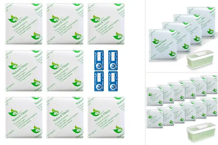 Detailed view of Best Natural Filters: Eco-Friendly Home Freshness Made Easy
