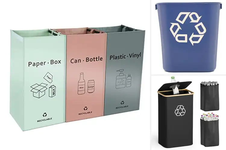 Detailed view of 10 Best Recycling Options to Cut Waste in Half