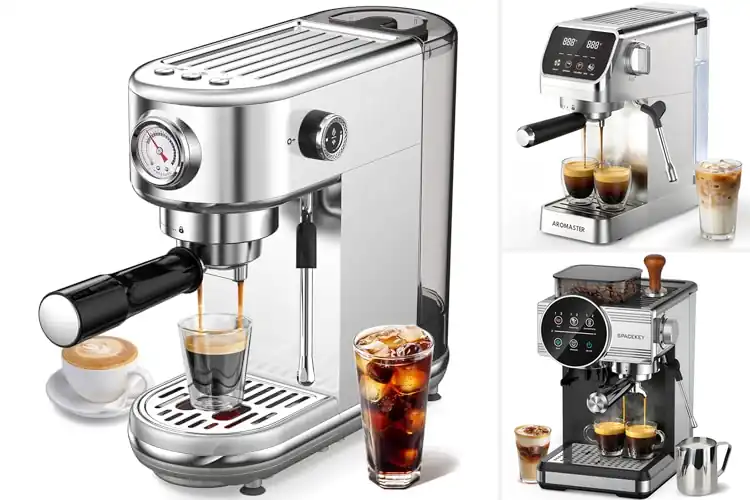 Detailed view of Best Savor With Milk Espresso: 10 Amazing Machines